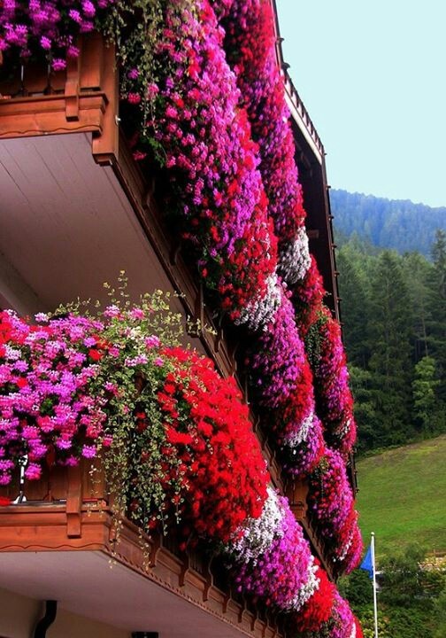 Wedo thiết kế vườn hoa đẹp cho ban công