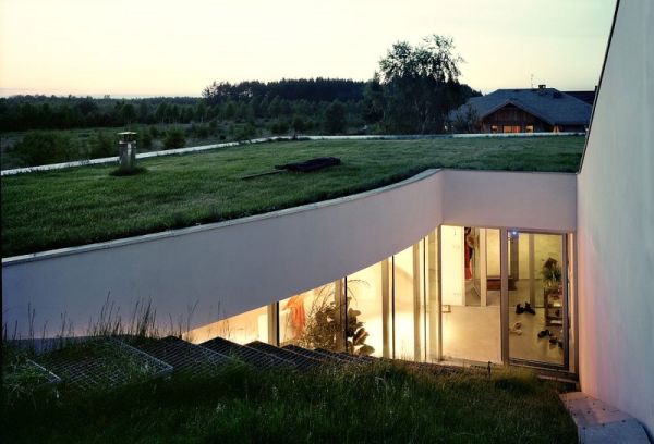 Wedo thiết kế mái nhà xanh với cỏ