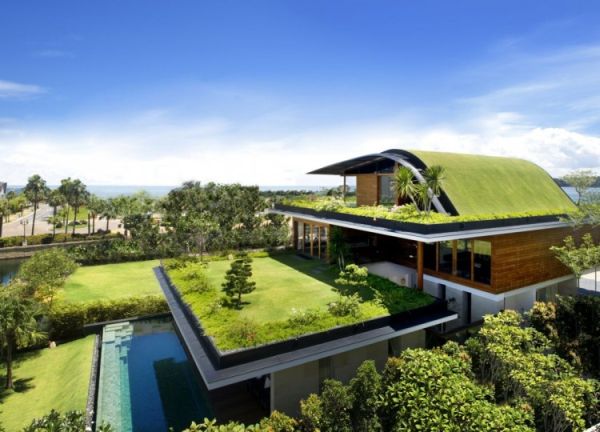 Wedo thiết kế mái nhà với cỏ và cây xanh