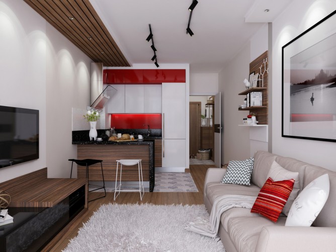thiết kế nội thất đẹp và tiện dụng cho nhà siêu nhỏ dưới 30 m2