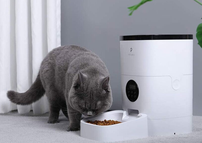 Tiết kiệm và vệ sinh với khay thức ăn tự động cho mèo